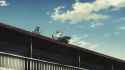 3.1 MB