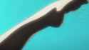 1.56 MB