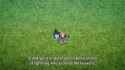 957 KB