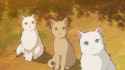 291 KB