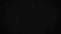 3.98 MB