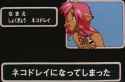 271 KB