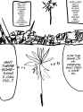 244 KB