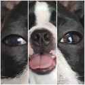 82 KB