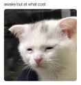 123 KB