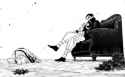 243 KB