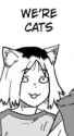 27 KB