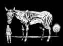 246 KB