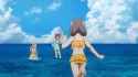 2.96 MB