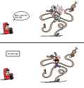 21 KB