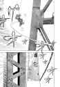 900 KB