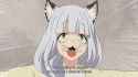2.52 MB