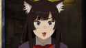 217 KB