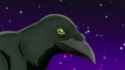 2.63 MB