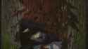 362 KB