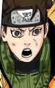 223 KB