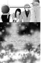 519 KB