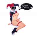 4538119 - DC Harley_Quinn furraniko