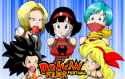 dragonball_folder_here_by_raya100_dbr01j2-fullview