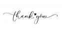 thank-you-lettering-card-on-white-background-calligraphy-modern-illustration-on-white-background-vector