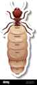 a-sticker-template-with-top-view-of-primary-queen-termite-isolated-illustration-2G8F8HC