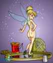 1aa4614c5f0b3e24 (tinkerbell)