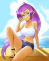 Shantae 1786