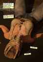 alien_day_2025_by_renderguy19_djn82ln-414w-2x