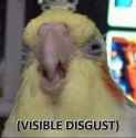 EgPktQIVAAE1z6z