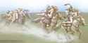 Horse Rider loot - Spoils of War 0001