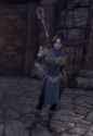 Azariah Varyan, Mercenary Mage