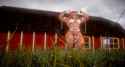 VaM 2025-05-12 19-32-47sdsdsdsd
