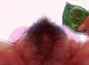 randomboobguy_pussy 2