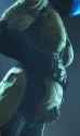 spartan_preg