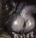 def6ea28be97e0023ef81a8e42651df9