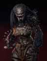 predator hunting grounds