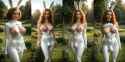 bulges_bunny