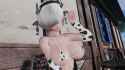 pso2