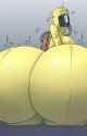 Ass_expansion_3