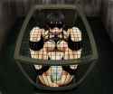 electric_cage