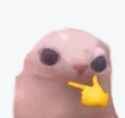 bingus thonk