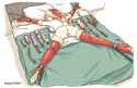 download (2)