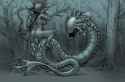 male_caenemung_in_the_shallows