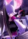 Rouge the bat and shadow