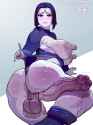 6072671 - crystalcheese DC DCAU Raven Teen_Titans.jpg
