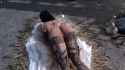 1.21 MB