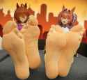 421 KB
