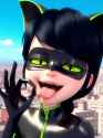 3.16 MB