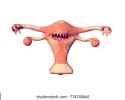 uterus-horror-3d-rendering-260nw-774743065