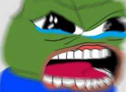 1551071445534